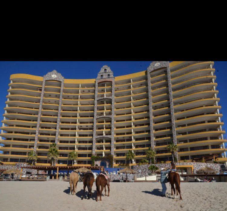 King Suite Ocean View,1184809741:JPEG
